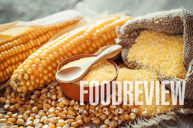 Mikotoksin dalam Keamanan Pangan